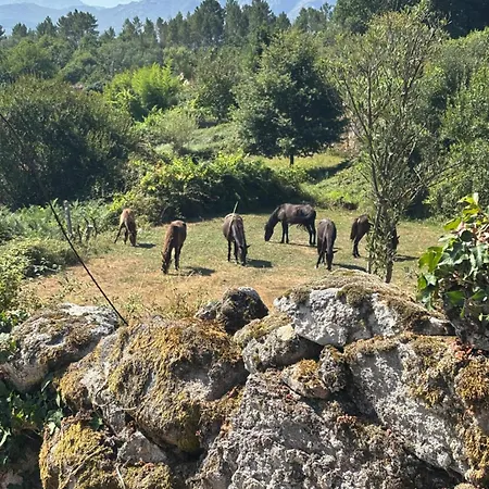 Maison Au Coeur De La Nature Galicienne Villa *